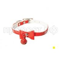 00210107-04-528x528_0