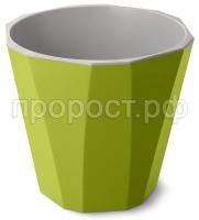 палермо 3,6оли