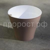 Афина-мокко-600x600