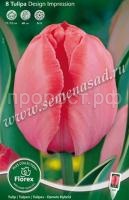 Тюльпан Дарвинов гибрид Дизайн Импрешн (розовый с оранжевым пламенем, 10шт, 11-12) 310005