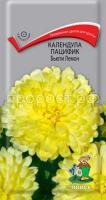 Календула пацифик  Бьюти лемон Календула пацифик  Бьюти лемон