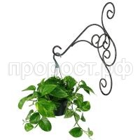 П168511_3 П168511_3