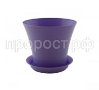 сити лаванда