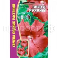 С148677 С148677