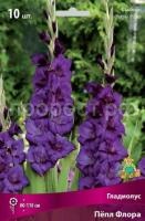 Гладиолус Пёпл Флора