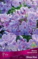 Флокс метельчатый Юник Мов