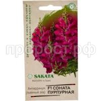 Без названия (2) Без названия (2)