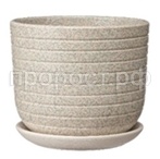 пряности пряности