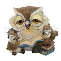 сова с совятами сова с совятами