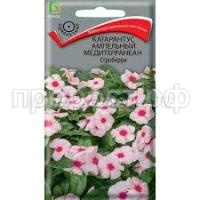 Без названия Без названия