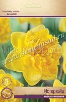 Нарцисс Истертайд