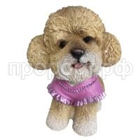 пудель в платье