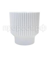 АРКАДА_белая_цв1