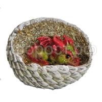 дракон в яйце 390