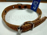 WhatsApp Image 2018-10-24 at 12.24.38(3)