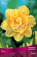 Нарцисс Техас