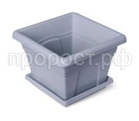 квадро 12,2сер квадро 12,2сер