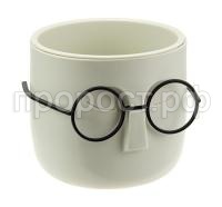 стив бел стив бел