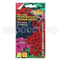 петуния черн.бархат