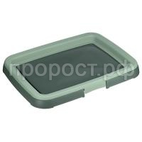 1845неф 1845неф