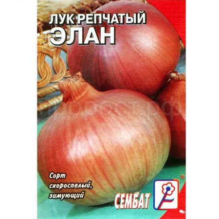 Лук репчатый Элан 0,2г ч/б 