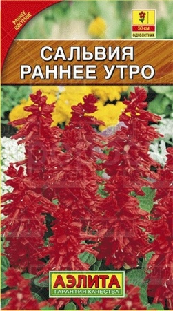 Аэлита Сальвия Раннее утро 0,1г