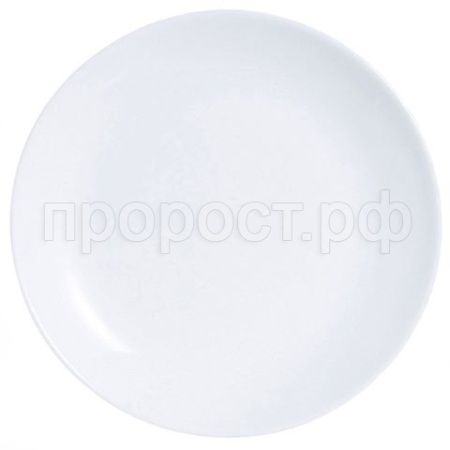 Тарелка обеденная ДИВАЛИ 25см