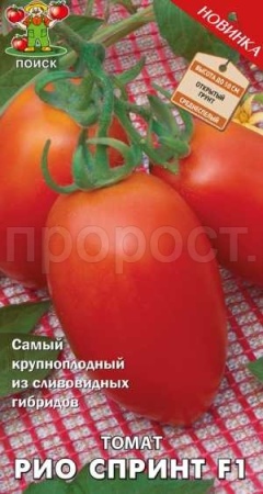 Томат Рио спринт F1 12шт 