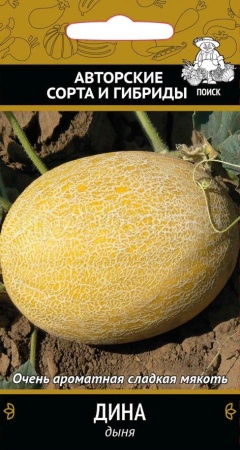 Дыня Дина 15шт 