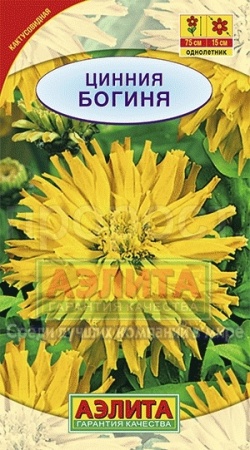 Аэлита Цинния Богиня кактусовидная 0,3г
