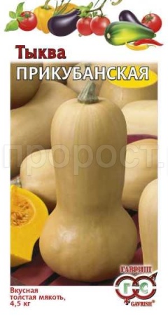 Тыква мускатная Прикубанская 1г