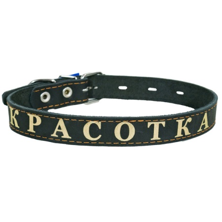 Ошейник кожа 26мм 1слойный на фетре прямой с надписью 53-58см/110000