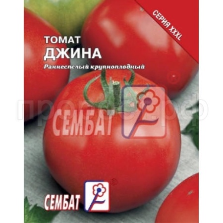 Томат Джина ТСТ 1г 