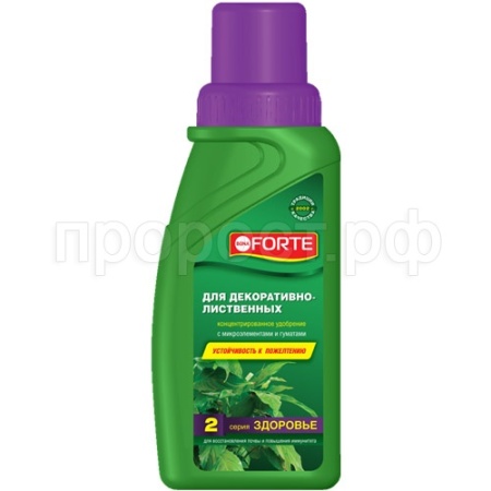 Бона Форте Здоровье для декоративно лиственных 285мл Бона Форте Здоровье для декоративно лиственных 285мл