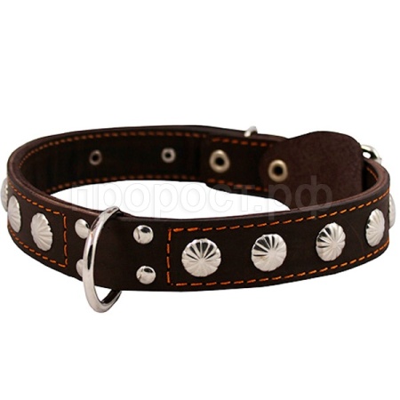 Ошейник кожа 45мм двойной с украшением и кольцом посередине 57-66см/00045041/Каскад/
