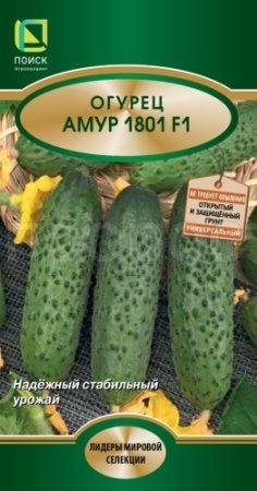 Поиск Огурец Амур 10шт 