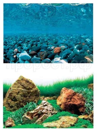 Фон для аквариума Горная река/Зеленое море 30*62см/BACKGROUND 019