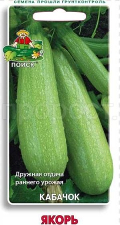 Кабачок Якорь 12шт 